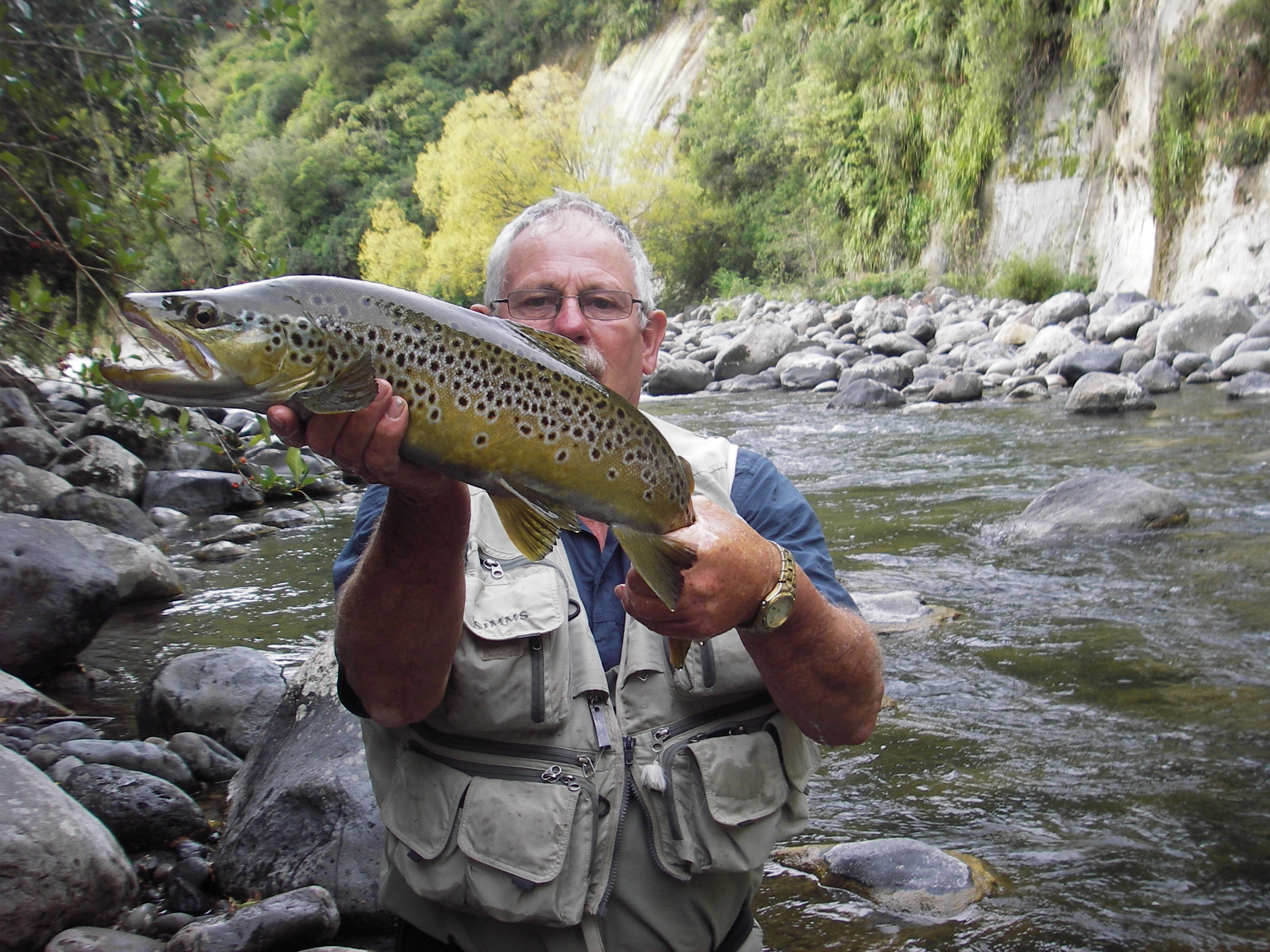 Trout fishing is one of the major local attractions in Turangi